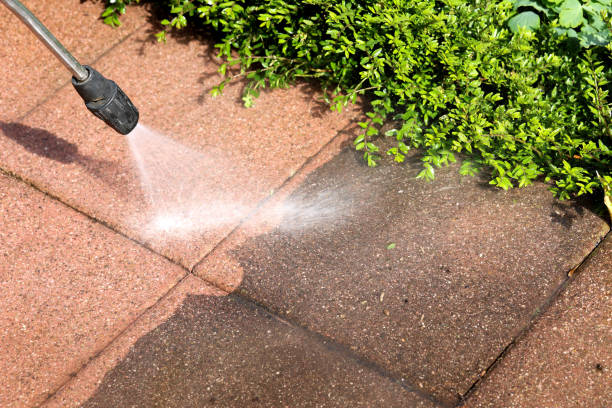 Best Roof Pressure Washing  in Dover Beaches North, NJ